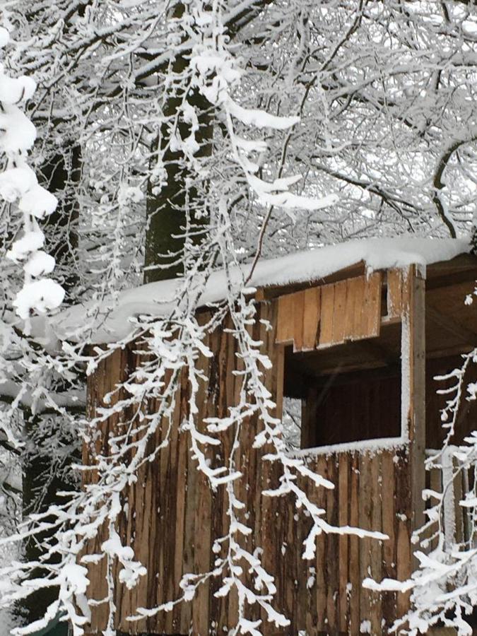 Ferienhaus Mone Monschau Eksteriør billede